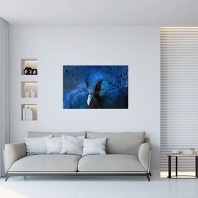 Tablou - Porumbel încoronat (90x60 cm)