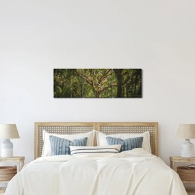 Tablou cu copaci (cu ceas) (90x30 cm)
