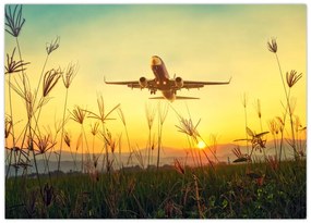 Tablou cu avionul ridicându-se spre zbor (70x50 cm)