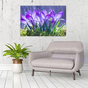 Tablou cuflori în ploaie (90x60 cm)
