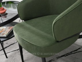 Fotoliu Alfredo (verde + negru). Promo -14%. 1109870
