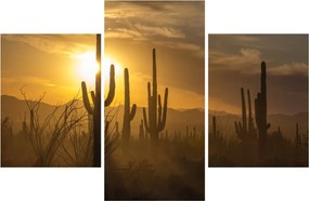 Tablou - Cactuși Saguaro (90x60 cm)
