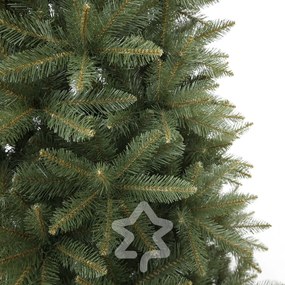 Molid Caucazian 2D 180 cm