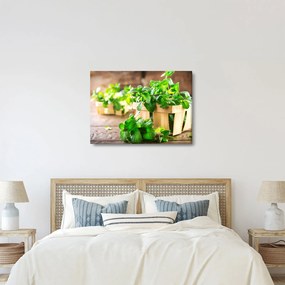 Tablou cu menta proaspătă (70x50 cm)