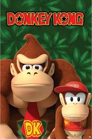 Poster Nintendo - Donkey Kong And Diddy Kong