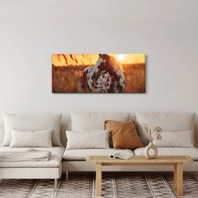 Tablou - Cal la Apus (120x50 cm)