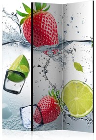 Paravan - Fruit cocktail [Room Dividers]