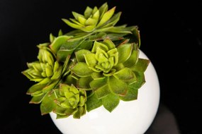 Aranjament floral mic decor festiv design LUX GREEN BALL