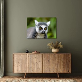 Tablou pe sticlă cu lemur (70x50 cm)