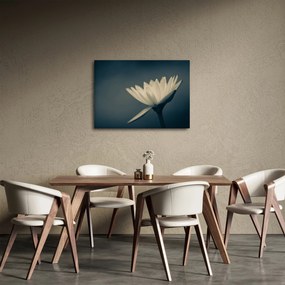 Tablou cu flori (70x50 cm)