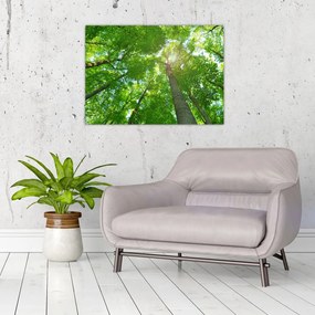 Tablou pe sticlă - Lunca (70x50 cm)