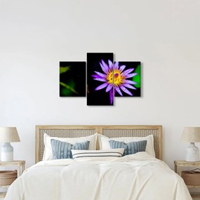 Tablou cu floare (90x60 cm)