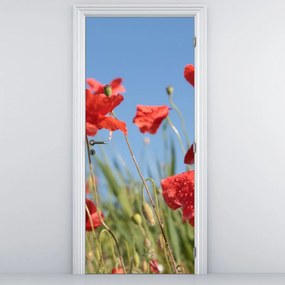 Fototapet pentru ușă - Maci (95x205cm)