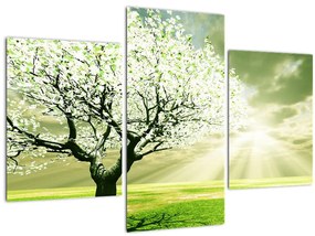 Tablou cu copaci pe luncă (90x60 cm)