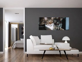 Tablou cu pisica (120x50 cm)