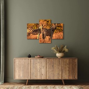 Tablou cu zebre (90x60 cm)