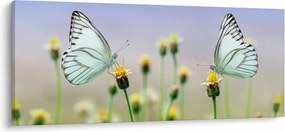 Tablou cu fluture pe floare (120x50 cm)