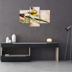 Tablou - Aloe vera (90x60 cm)