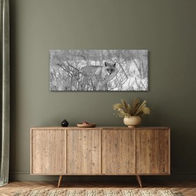 Tablou - Vulpe,alb-negru (120x50 cm)
