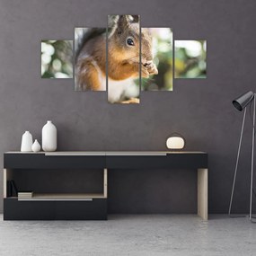 Tablou cu veverița (125x70 cm), în 40 de alte dimensiuni noi