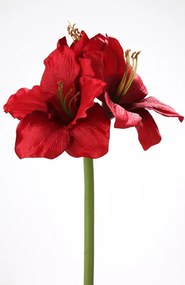 Floare AMARYLLIS, fibre sintetice, 50 cm