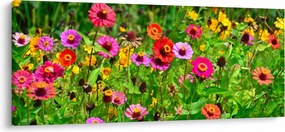 Tablou cu flori de luncă (120x50 cm)