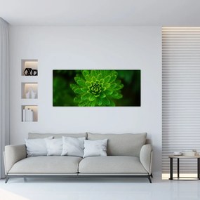 Tablou cu coniferi (120x50 cm), în 40 de alte dimensiuni noi