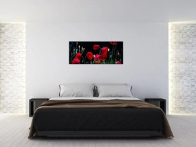 Tablou - Dansul macilor (120x50 cm)