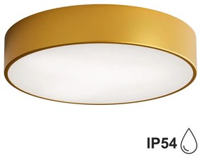 Plafonieră pentru baie Brilagi CLARE 2xE27/24W/230V d. 40 cm IP54 auriu