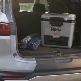 Lada frigorifica Ninja FrostVault FB230EUGY, 28 l, Pasiva, 48 doze, Pastreaza gheata pana la 5 zile, Compartiment uscat, Roti, Gri