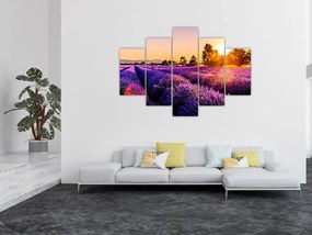Tablou cu câmp de lavanda (150x105 cm)