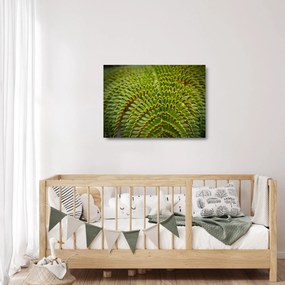 Tablou pe sticlă - Fern (70x50 cm)