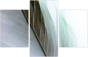 Tablou - Pene, macro (90x60 cm)