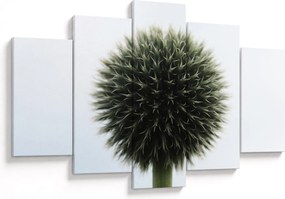 Tablou - Sfere de flori (150x105 cm)