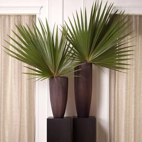 Vaza, Vas decorativ LUX din sticla Isandro L