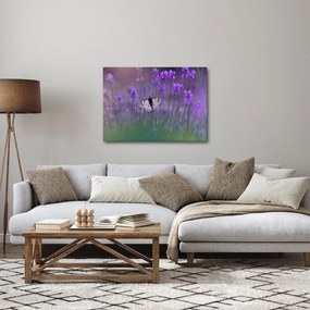 Tablou - fluture în lavandă (70x50 cm)