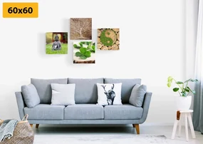 Set tablouri Feng Shui cu elementele naturii