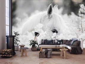 Fototapet - Calul alb pe zăpadă (254x184 cm), în 8 de alte dimensiuni noi