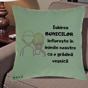 Cadou pentru Bunici - Perna Personalizata Iubirea Bunicilor Infloreste Cuplu Line Art Gradient, 40x40 cm, Verde, Husa Detasabila, Perna Inclusa, BEKZ®