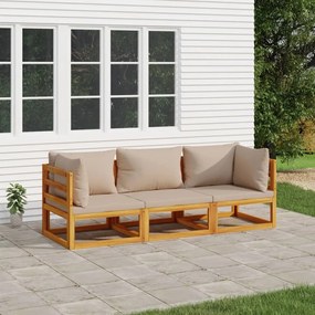 3155252 vidaXL Set mobilier de grădină cu perne gri taupe, 3 piese, lemn masiv