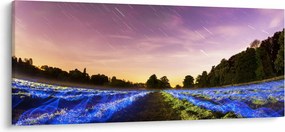 Tablou cu câmp colorat (120x50 cm)