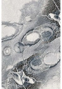 Covor lana Bellona jasny szary Selectează mărime: 240 X 340