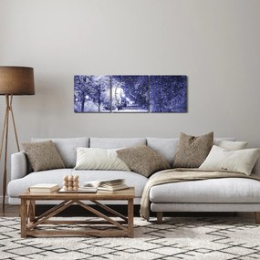 Tablou - Noaptea magică de iarnă (cu ceas) (90x30 cm)