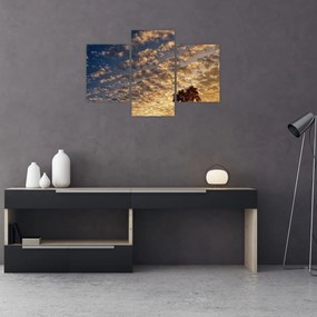 Tablou - Palmieri între nori (90x60 cm)