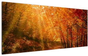 Tablou cu pădurea în toamnă (120x50 cm)