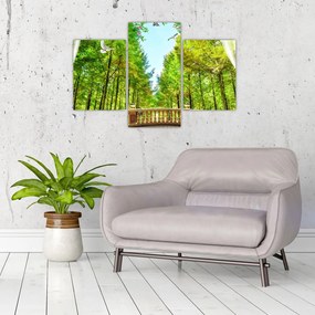 Tablou - Privire spre pădure (90x60 cm)