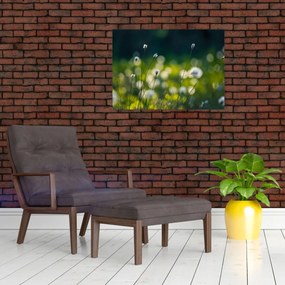 Tablou - Iarbă (70x50 cm)