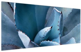 Tablou - Agave (120x50 cm)