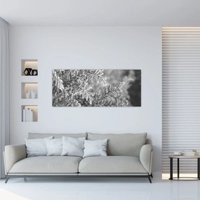 Tablou - Pădure de molid (120x50 cm)