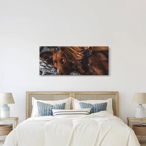 Tablou cu câini dormind (120x50 cm)